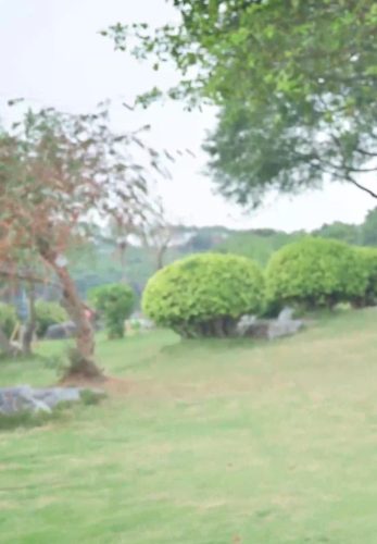 [SSA丝社]短片 NO.0134 君君 涞觅维纳斯提花连裤袜[1V／499MB]-优选资源网