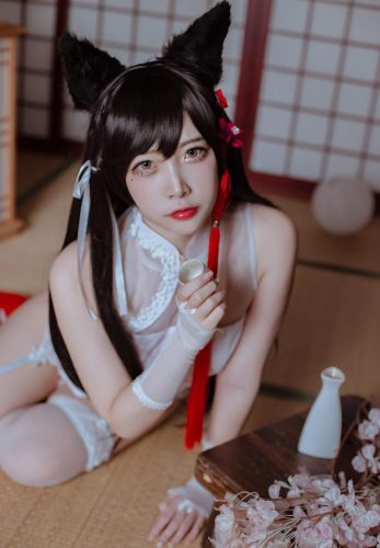 二佐Nisa –  犬之眷 碧蓝航线 爱宕 旗袍 [18P-204MB]-优选资源网