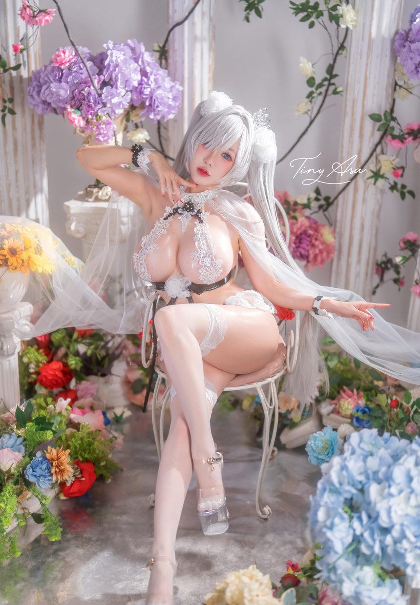 Tiny Asa – NO.023 Nikke Cinderella [59P1V-2.91GB]