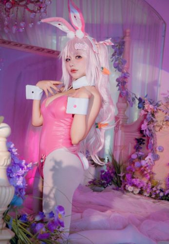 是一只熊仔吗 Nikke爱丽丝兔女郎 [50P-126MB]-优选资源网