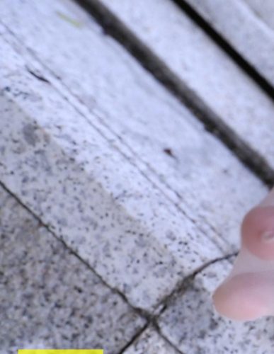 [LSS山茶摄影]丝足视频 NO.001[1V／137MB]-优选资源网